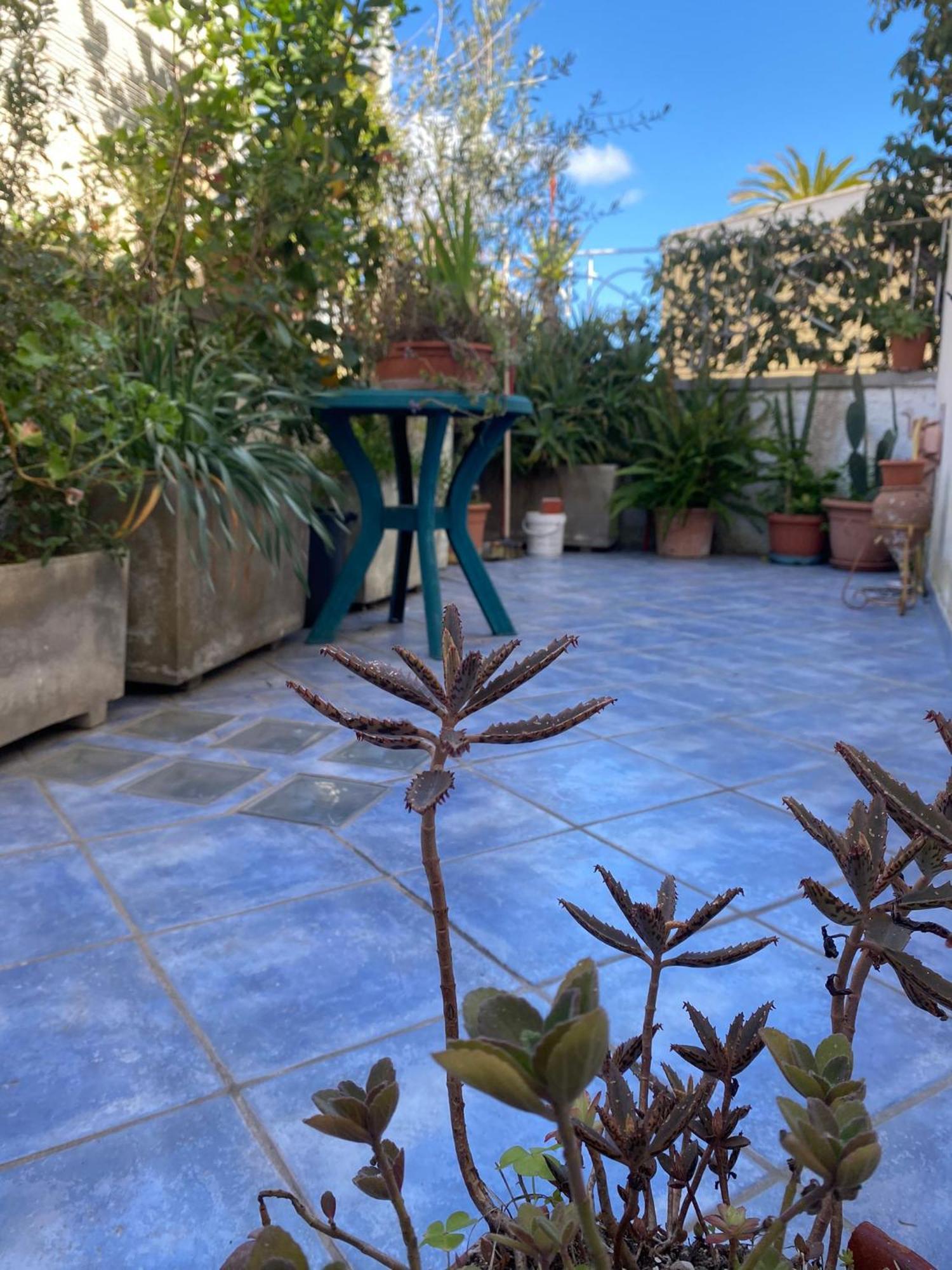 Casa Vacanza Maronti Barano d'Ischia Ngoại thất bức ảnh